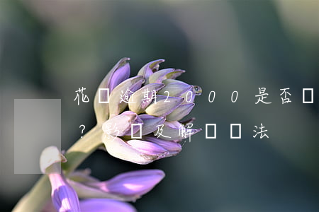 花唄逾期2000是否會上征信？影響及解決辦法
